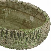 gjenstander Plantekasse betong oval antikk utseende grønn, brun 24×14×13cm