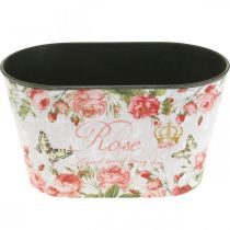 gjenstander Plantepotteroser, dekorativt kar, blomsterbrett 21,5 cm / 18,5 cm sett med 2