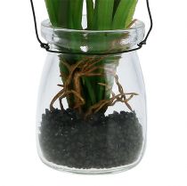 gjenstander Druehyasint kunstrosa i glass 16cm