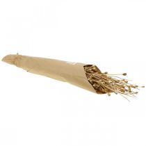 gjenstander Tørkede blomster valmuefrø kapsler natur tørket vill tørket dekorasjonsbunt 100g