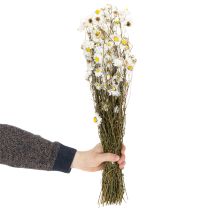 gjenstander Tørkede Acroclinium-blomster, hvite blomster, tørket blomsteroppsats, 60 cm, 80 g
