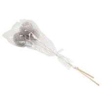 gjenstander Tørkede blomster dekorative klokkekopper på stilk grå 37cm 3 stk