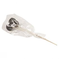 gjenstander Tørkede blomster dekorative klokkekopper på stilk sort 44cm 3 stk