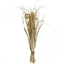 gjenstander Tørket gress og frokostblandinger naturlig i en haug med tørket bukett 48cm