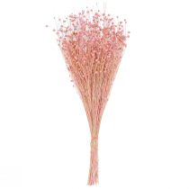 gjenstander Tørket lingressdekorasjon lys rosa 50-55 cm 80 g borddekorasjon