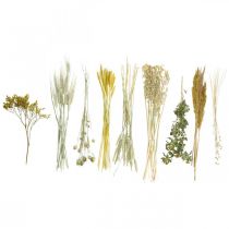 gjenstander Tørkede blomster DIY-verktøysett gult for kreative buketter og dekorative kranser 60 cm – naturprodukt