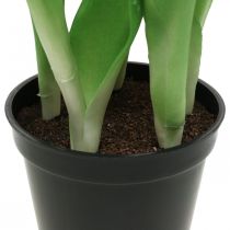 gjenstander Tulipan rosa, grønn i potte Kunstig potteplante dekorativ tulipan H23cm
