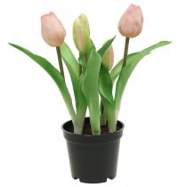 Tulipan rosa, grønn i potte Kunstig potteplante dekorativ tulipan H23cm