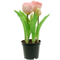 gjenstander Tulipan i potte Rosè Real-Touch 22,5cm