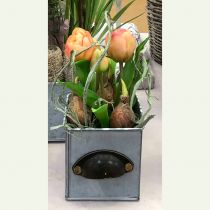 gjenstander Tulipan i potte Rosè Real-Touch 22,5cm