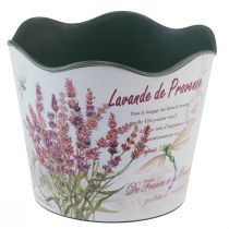 gjenstander Plantekar plast blomsterpotte sommer lavendel Ø16,5cm H13,5cm