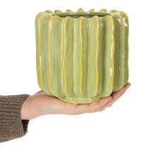gjenstander Kaktusblomsterpotte, ideell skål for eksotiske interiørdetaljer, 16 cm