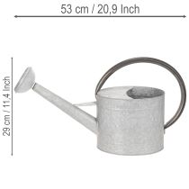 gjenstander Vintage vannkanne i metall, sølvgrå, stilig hagedekorasjon, blomstervase, L53 cm H29 cm