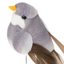 gjenstander Dekorative fugler, kunstig hjemmedekor, vårfest, med fargerik fjærdrakt laget av ekte fjær, 5 cm, 18 stk.