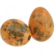 gjenstander Vaktelegg dekorasjon blåst egg appelsin aprikos 3cm 50 stk