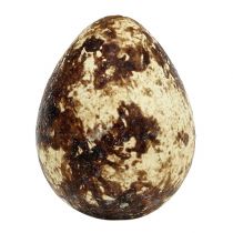 gjenstander Vaktelegg som dekorasjon, tomme, naturlige, 50 stk.