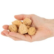 gjenstander Valnøtter til pynt, naturprodukt, 3-4 cm, 300 g