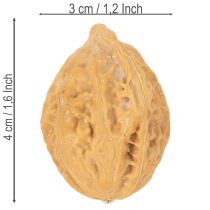 gjenstander Valnøtter, et naturprodukt for borddekorasjon og gjør-det-selv-prosjekter. Naturlige valnøtter, 4-5 cm, 300 g.