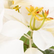 gjenstander Kunstig julestjerne, hvit, storblomstret, dekorativ plante, 40 cm
