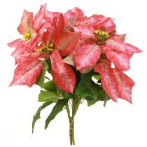 gjenstander Kunstig julestjerne Rød Rosa L35cm 6stk 2 bunter