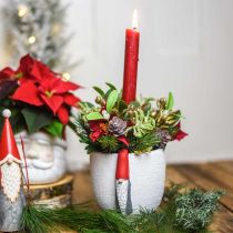 Julekrukke med nisse, adventspynt, betongpotte hvit, rød Ø8cm H12,5cm 2stk