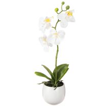 gjenstander Kunstige hvite orkideer i potte Phalaenopsis H33cm