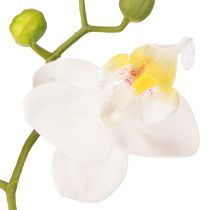 gjenstander Kunstige hvite orkideer i potte Phalaenopsis H33cm