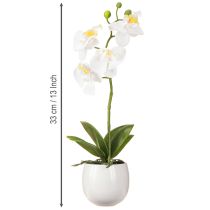 gjenstander Kunstige hvite orkideer i potte Phalaenopsis H33cm