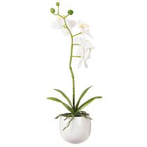 gjenstander Kunstige hvite orkideer i potte Phalaenopsis H33cm