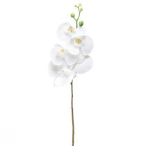 gjenstander Hvit kunstig orkidé Phalaenopsis Real Touch 85cm