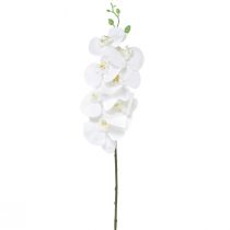 gjenstander Hvit kunstig orkidé Phalaenopsis Real Touch H83cm
