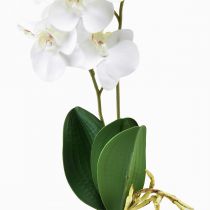 gjenstander Hvit orkidé på plukke kunstig Phalaenopsis Real Touch 39cm