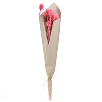 gjenstander Vill teasel tørket dekorasjon, rosa tistler, 53 cm, 10 hoder