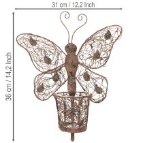 gjenstander Metalllykt, veggdekorasjon, sommerfugl, rustfinish, 36,5 cm