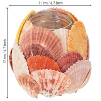 gjenstander Nautisk telysholder, lykt, ekte skjell, dekorasjon til badet, feriestemning, 12 cm