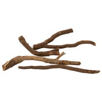 gjenstander Dekorative tregrener og rotstokker, naturlig tørket, 18 cm, 500 g