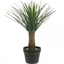 Kunstig yucca palme i potte Kunstig palme potteplante H52cm