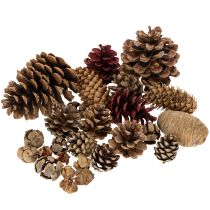 gjenstander Blandede kongler, naturlige, til hobbyarbeid og adventspynt, 2–10 stk., 400 g