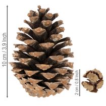 gjenstander Konglemiks av naturlige materialer, 2–10 cm, 400 g