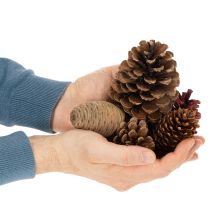 gjenstander Konglemiks av naturlige materialer, 2–10 cm, 400 g