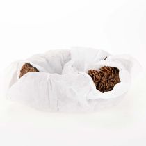 gjenstander Oval kongleplantekasse, 30 cm