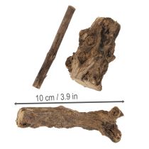 gjenstander Fortryllende dekorative trerøtter til hjemmet ditt