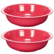 gjenstander Rund blomsterkasse for stilig innendørsdekorasjon eller hage, 29 cm, 2 stk.