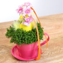 gjenstander Plantekopp med skål for kreative hager, 11 cm, 6 stk.