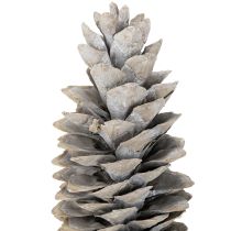 gjenstander Hvitkalkede sukkerkongler 20 cm - 30 cm