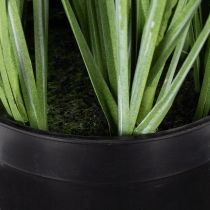 gjenstander Dekorativt grøntområde med delikate blomster for stilig romdesign 67 cm