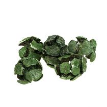 Sypresskjegler 3cm grønn 500g