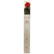 gjenstander Infinity Rose med blader bevart Amorosa Red L54cm