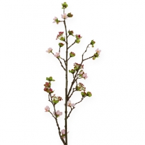 Cherry Blossom Branch Rosa 95cm