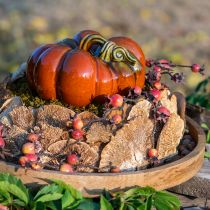 gjenstander Tresvamp naturlig dekorativ sopp tørket 6cm 1kg